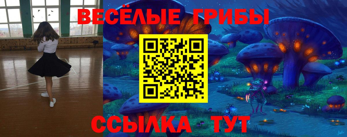 Галлюциногенные грибы Psilocybe Лысьва